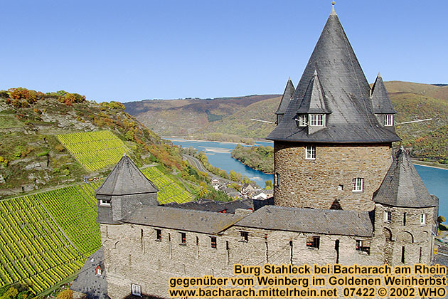 Burg Stahleck bei Bacharach am Rhein gegenüber vom Weinberg im Goldenen Weinherbst
