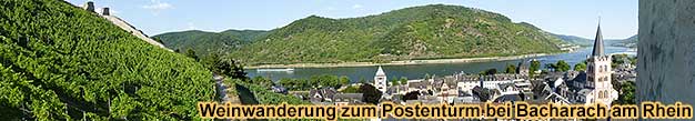 Weinwanderung zum Postenturm bei Bacharach am Rhein